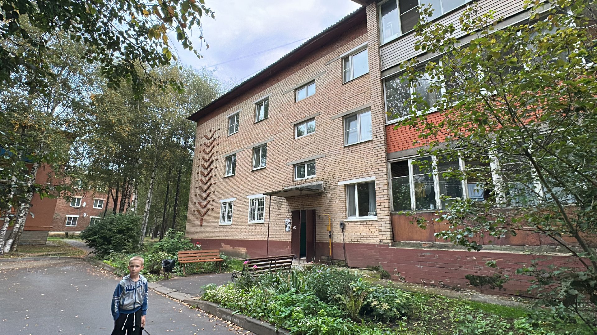 Клин, общество, люди, опиловка деревьев, выездная администрация,