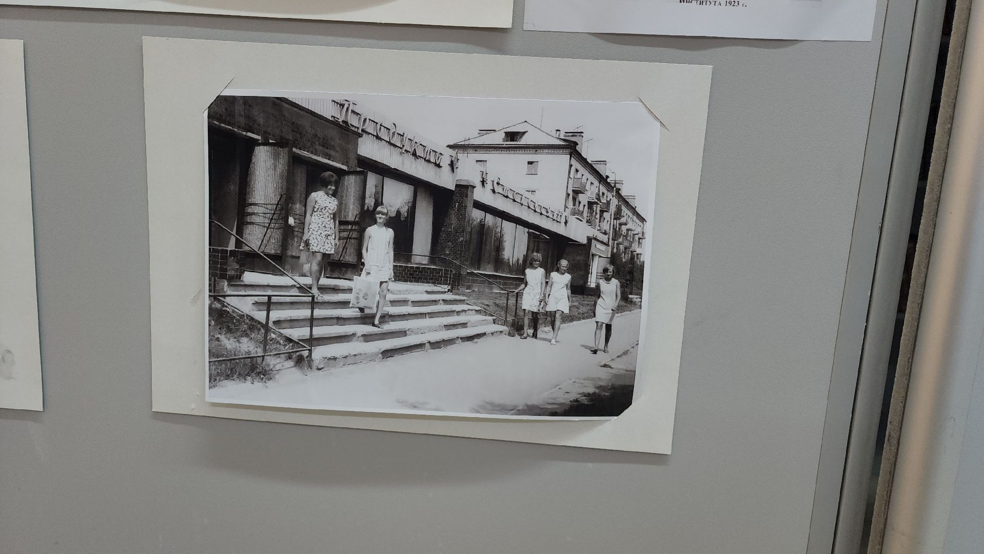 Выставка, История, Лобня, Луговая,