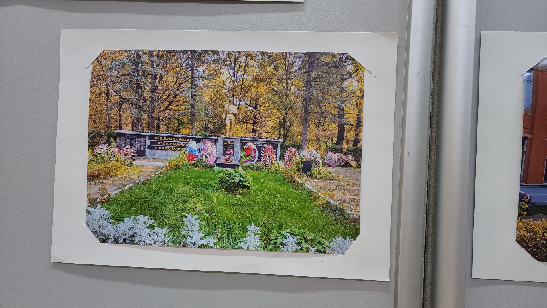 Выставка, История, Лобня, Луговая,