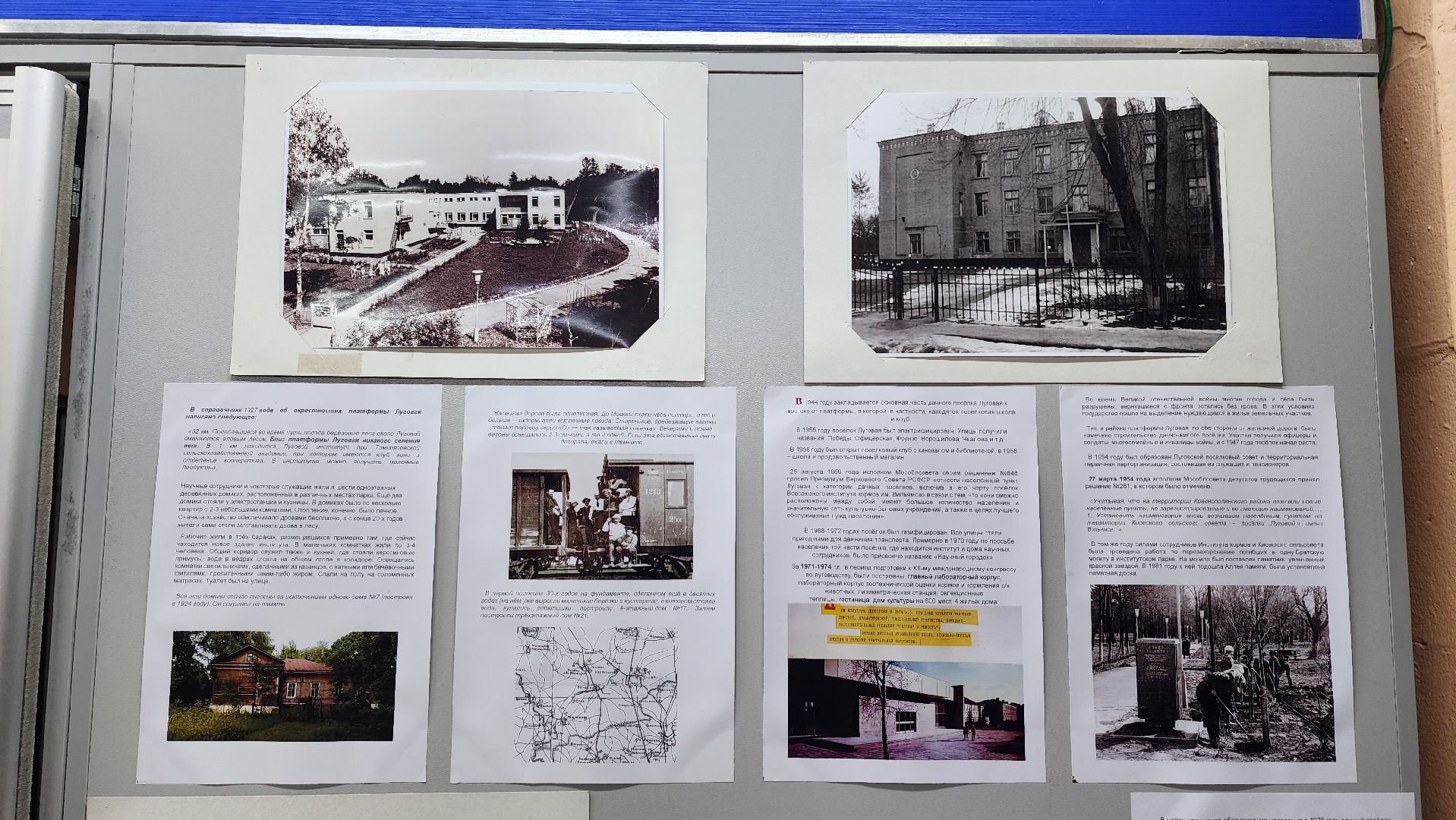 Выставка, История, Лобня, Луговая,