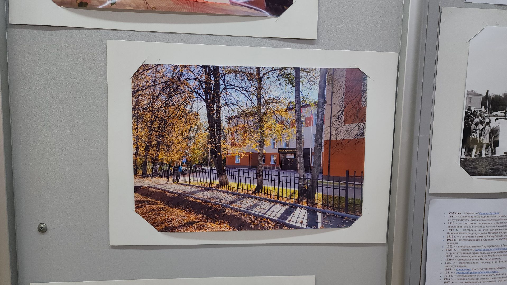 Выставка, История, Лобня, Луговая,