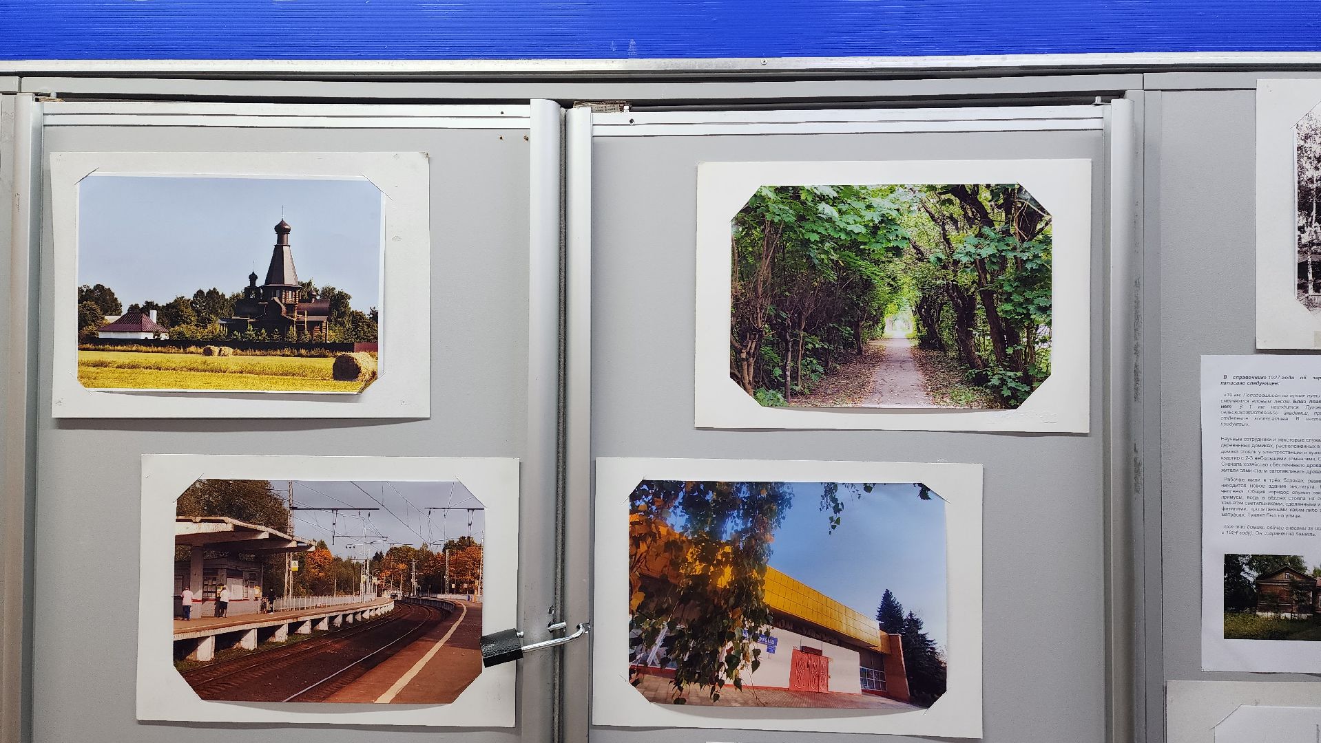 Выставка, История, Лобня, Луговая,