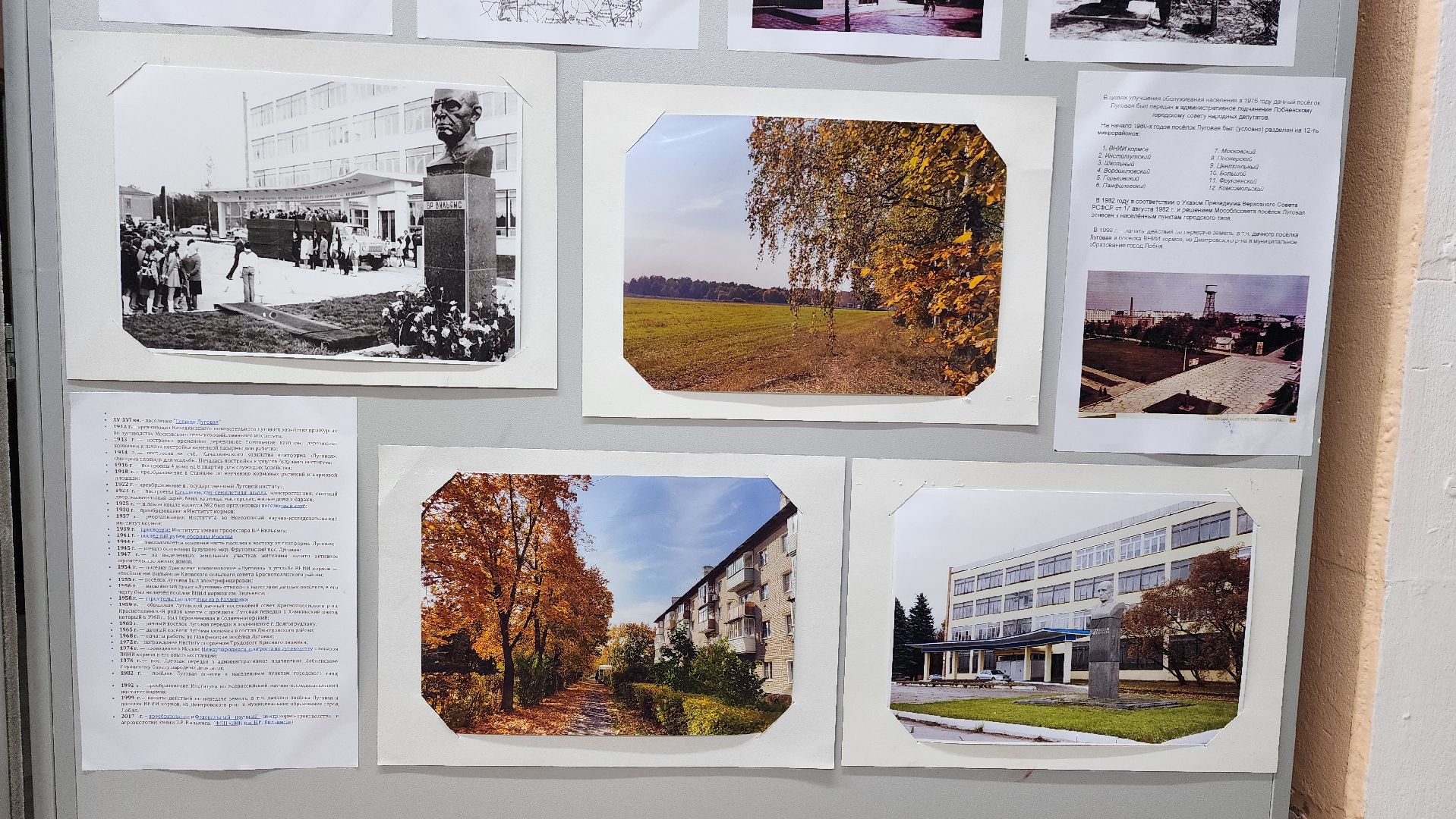 Выставка, История, Лобня, Луговая,