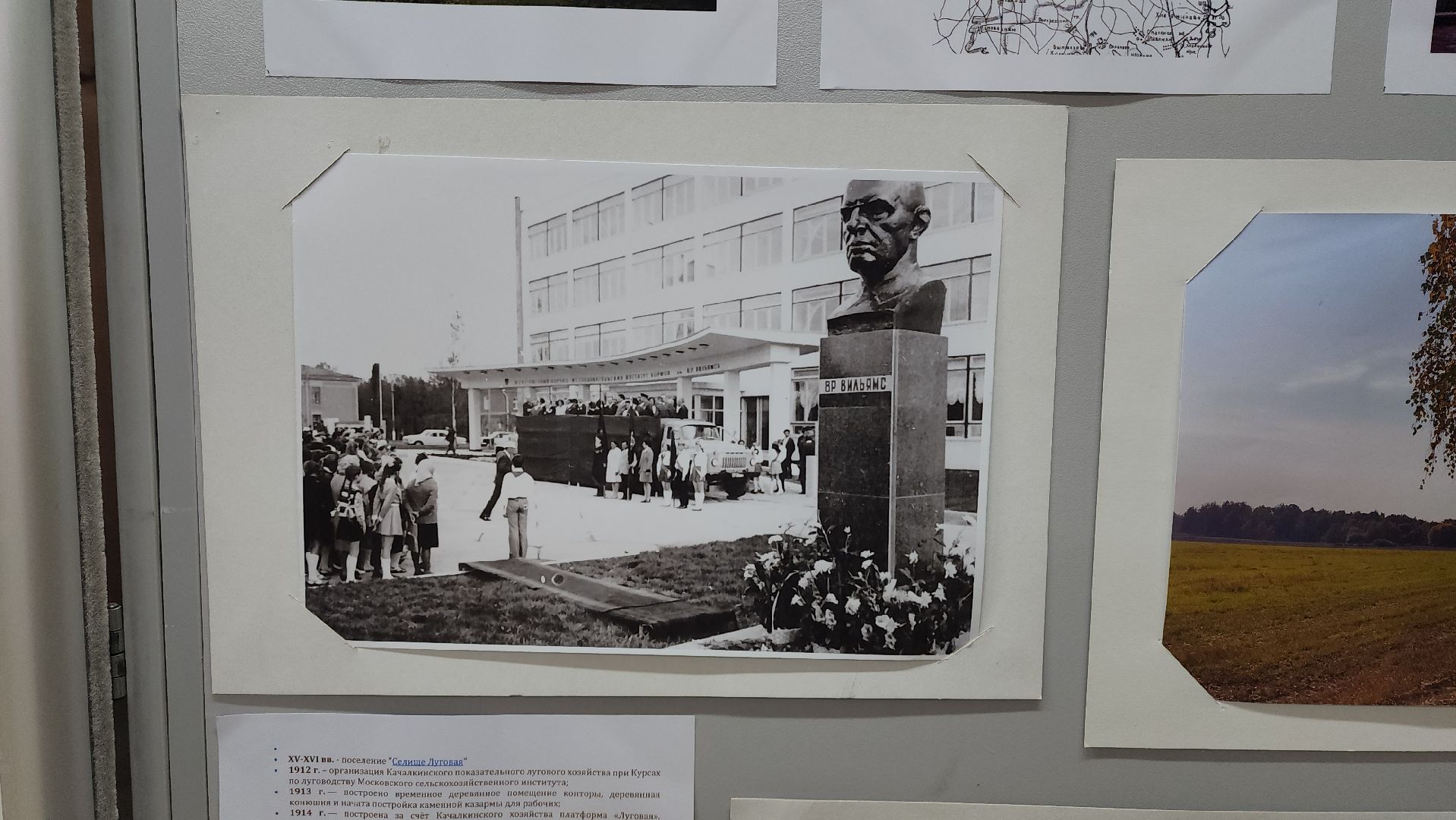 Выставка, История, Лобня, Луговая,