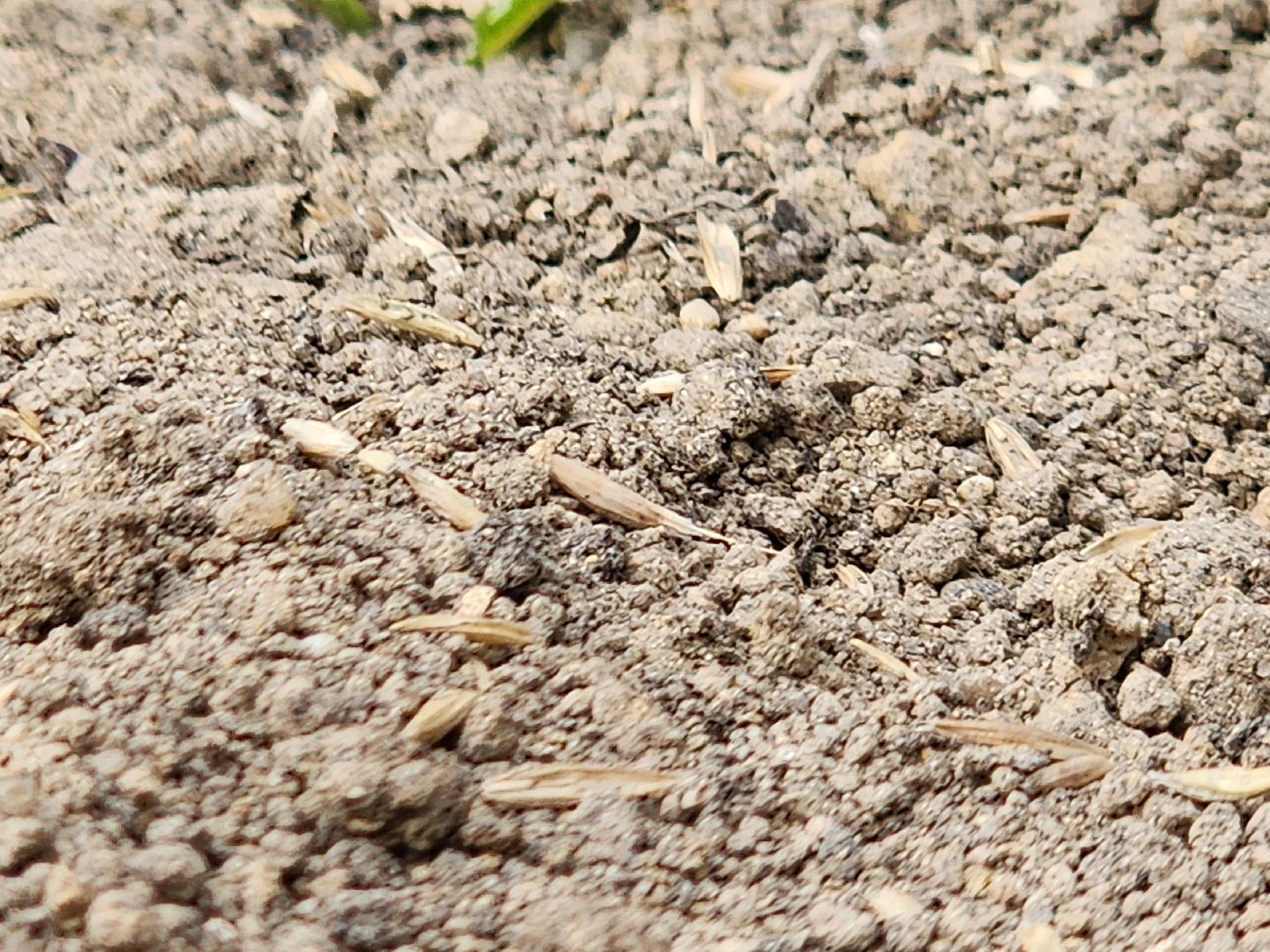 благоустройство, благоустройство дворов, тучково, руза, рузский городской округ, московская область, подмосковье,