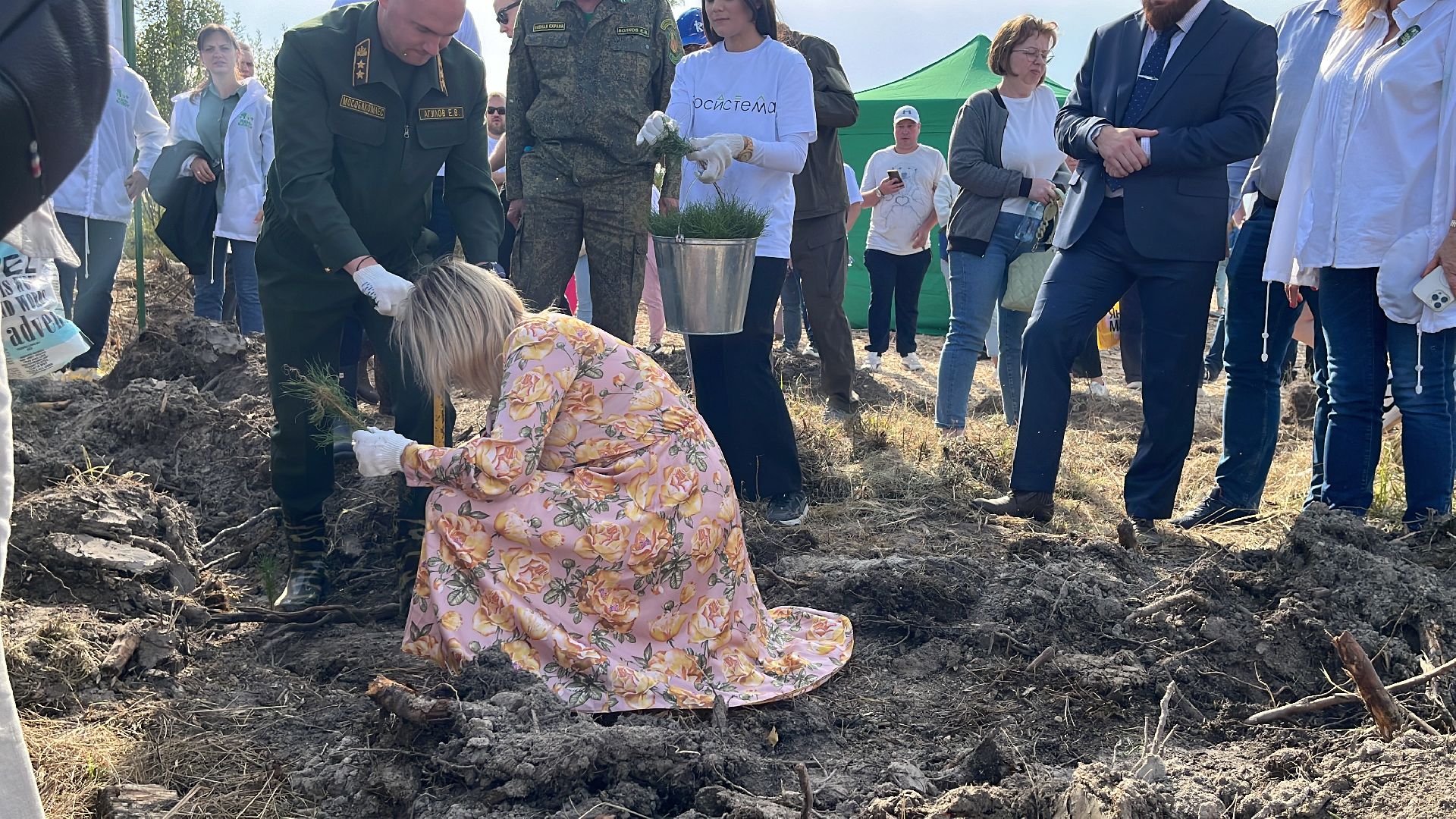 лес, день в лесу, эко, экоакция, экологическая акция, посадка деревьев,