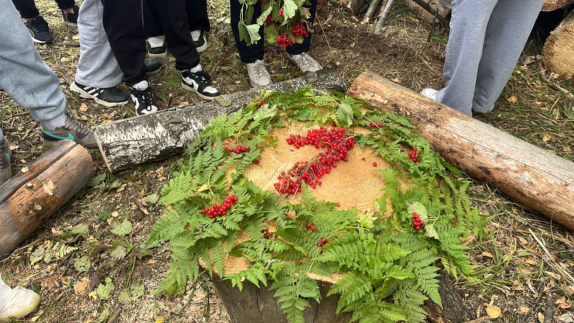 лес, день в лесу, эко, экоакция, экологическая акция, посадка деревьев,