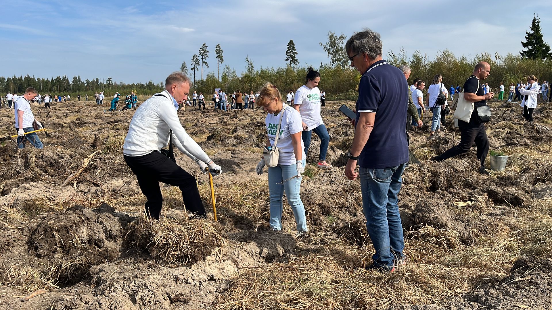 лес, день в лесу, эко, экоакция, экологическая акция, посадка деревьев,