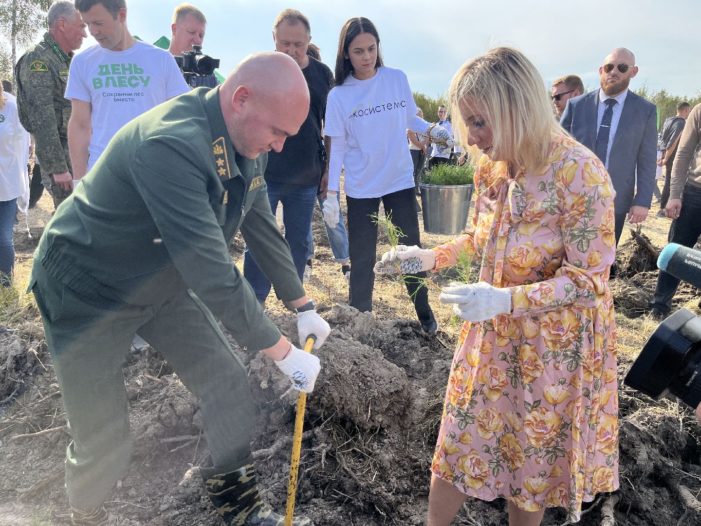 лес, день в лесу, эко, экоакция, экологическая акция, посадка деревьев,
