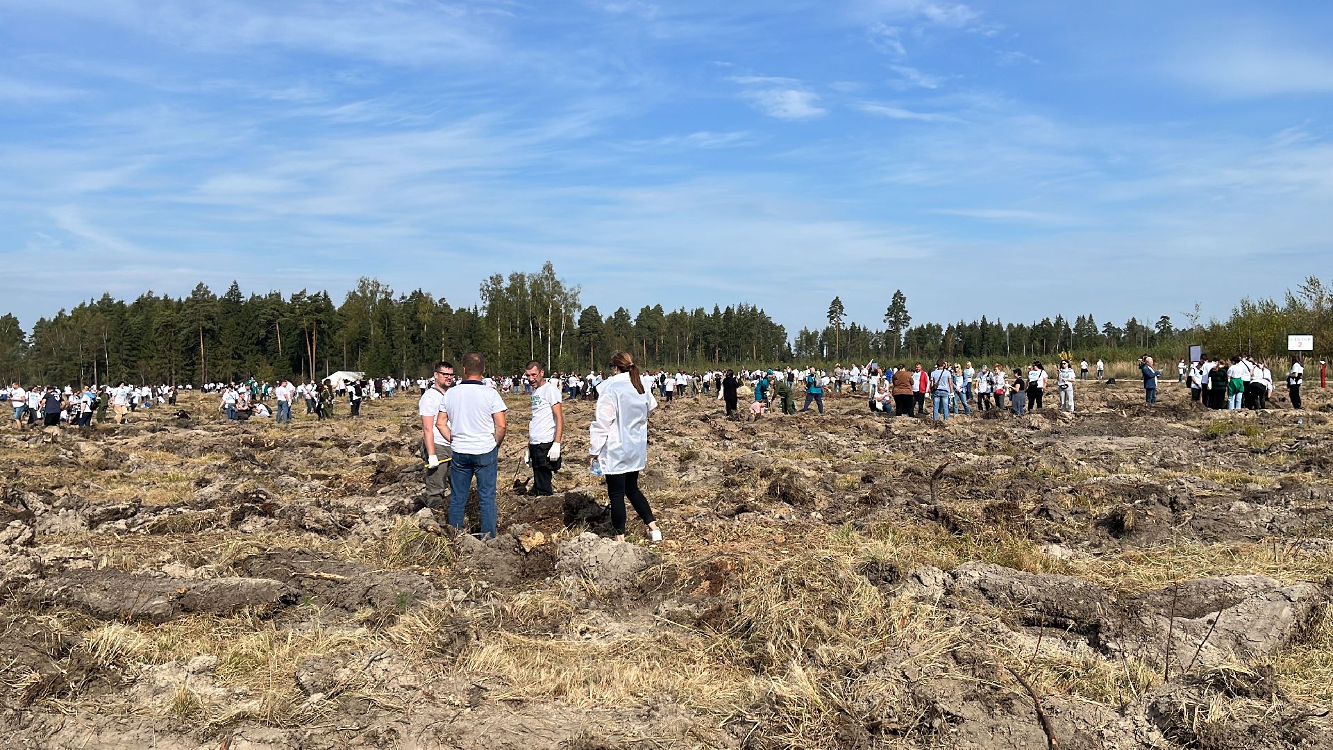лес, день в лесу, эко, экоакция, экологическая акция, посадка деревьев,