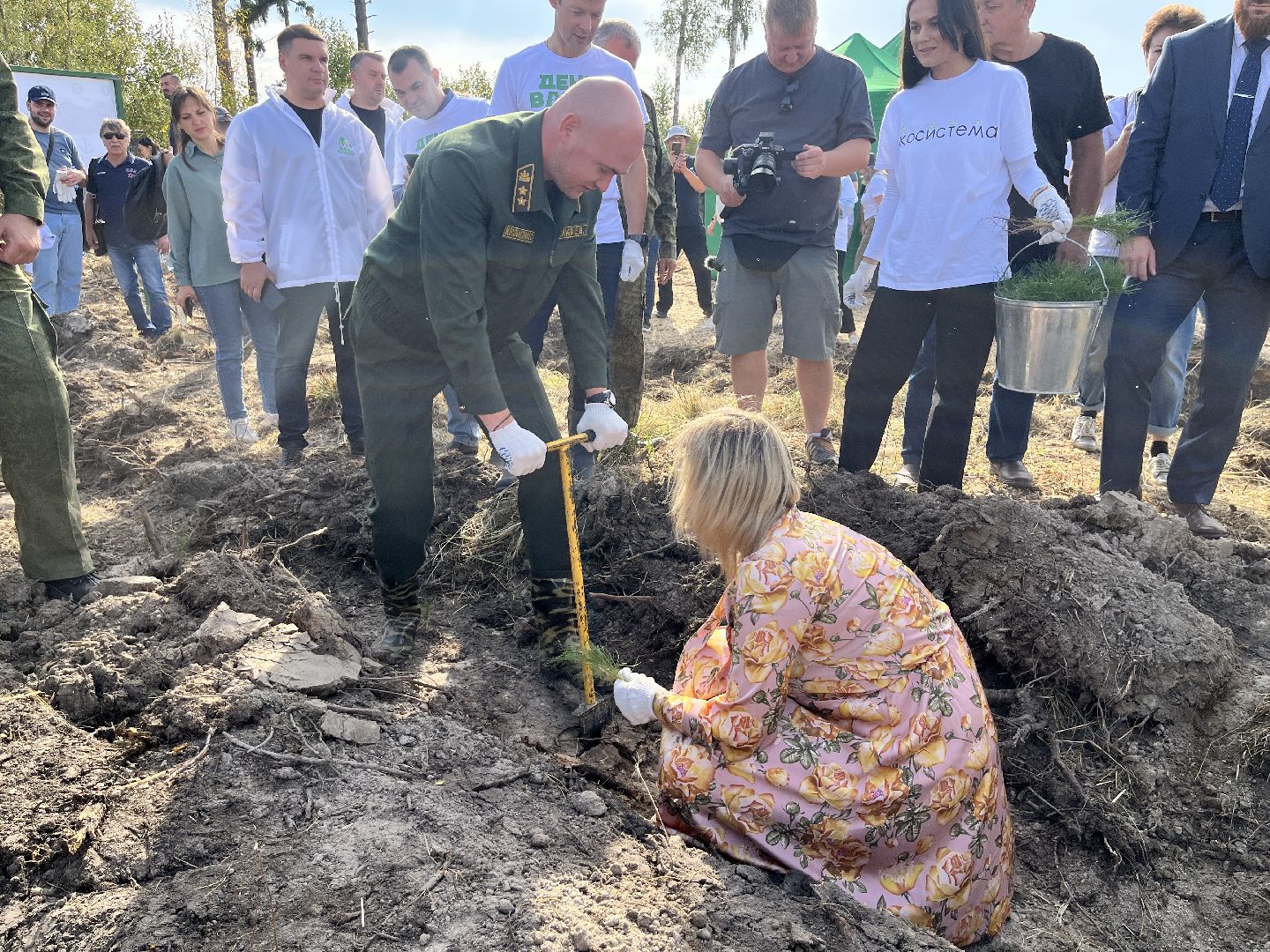 лес, день в лесу, эко, экоакция, экологическая акция, посадка деревьев,