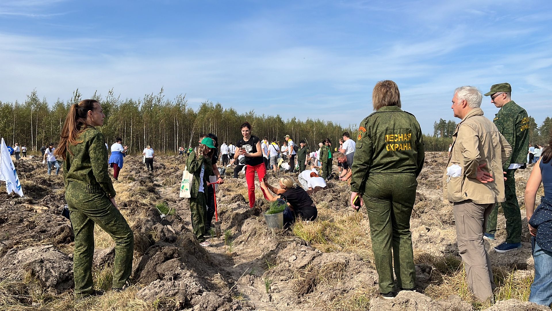 лес, день в лесу, эко, экоакция, экологическая акция, посадка деревьев,