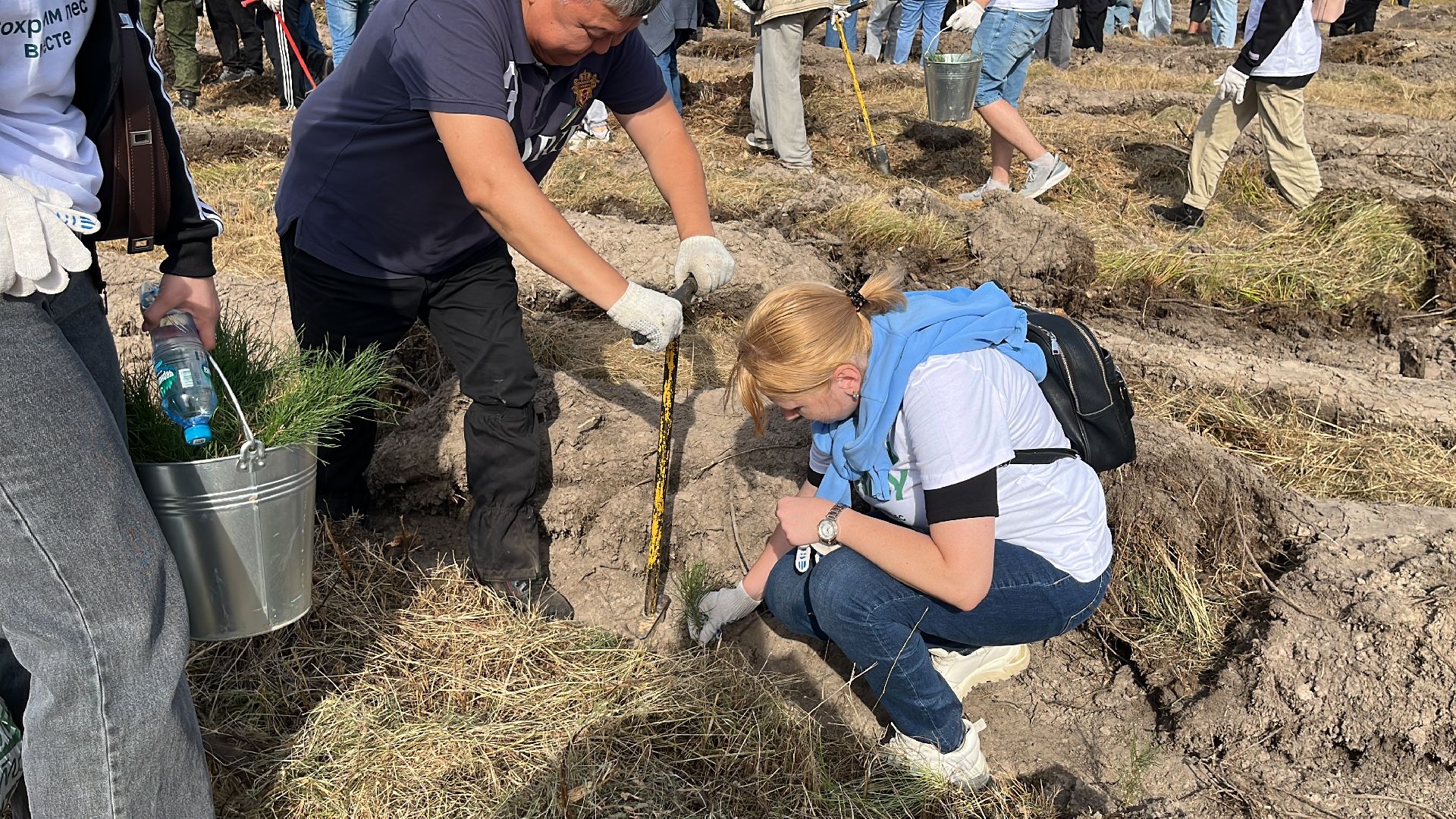 лес, день в лесу, эко, экоакция, экологическая акция, посадка деревьев,