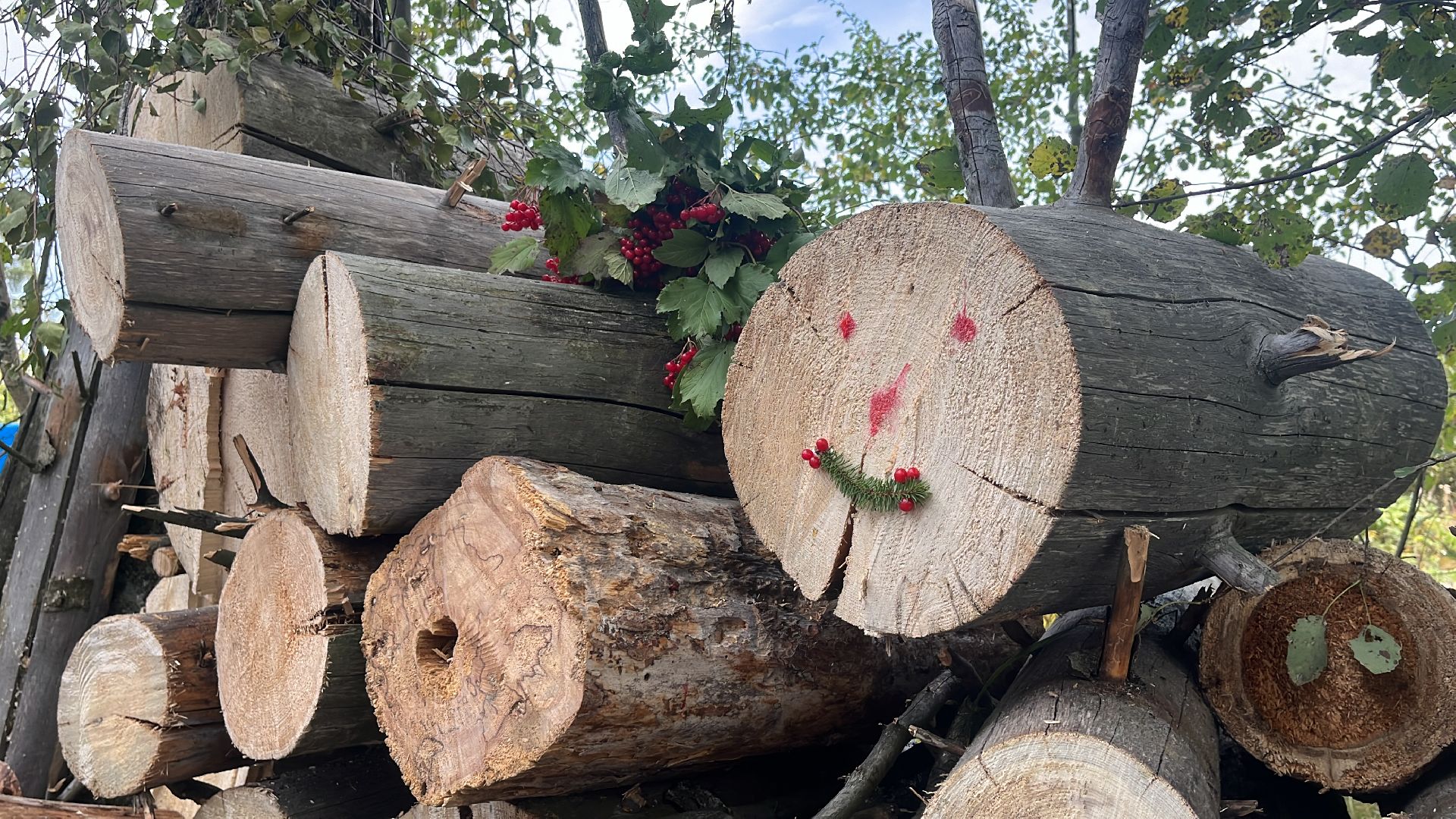 лес, день в лесу, эко, экоакция, экологическая акция, посадка деревьев,