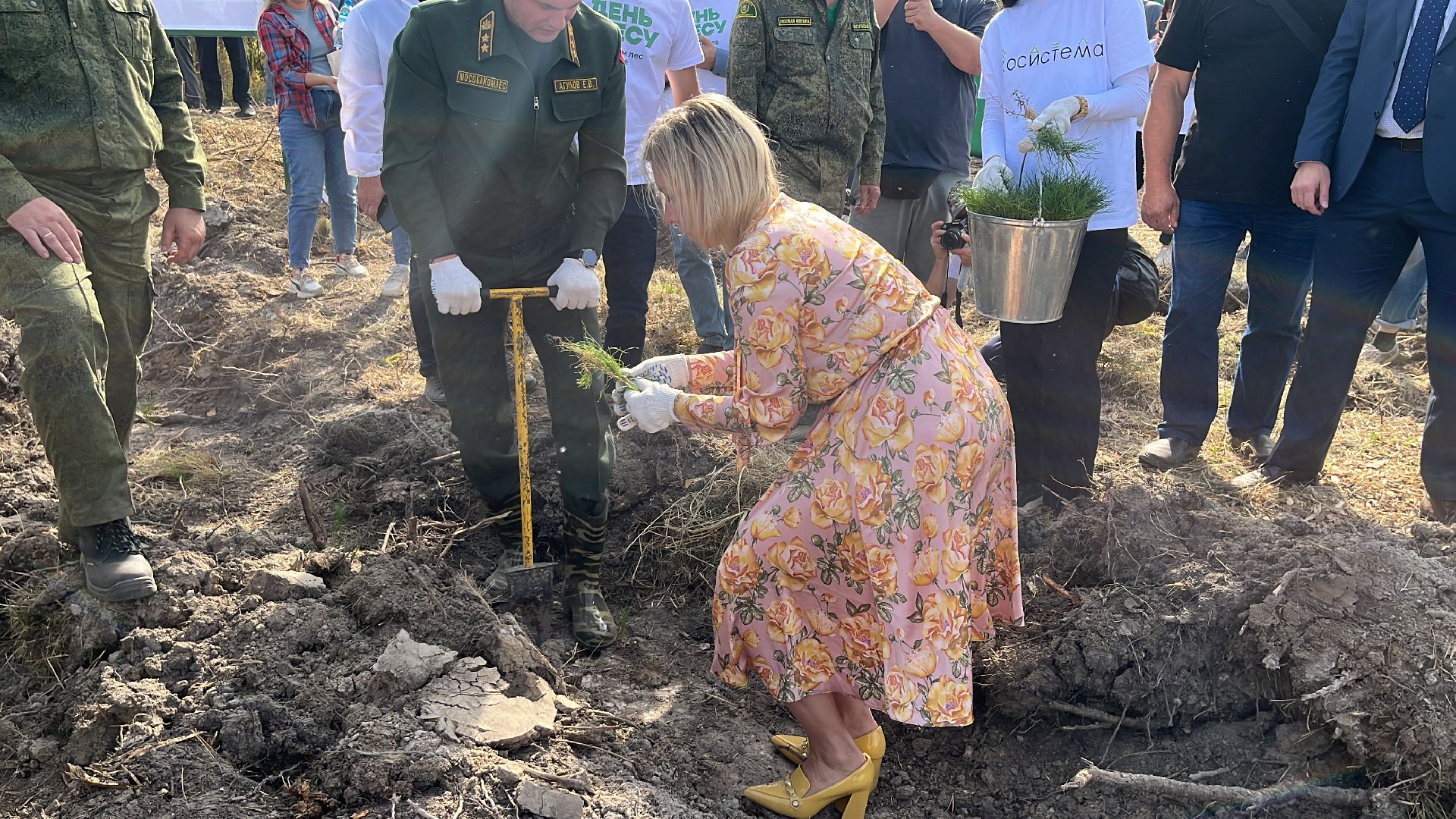 лес, день в лесу, эко, экоакция, экологическая акция, посадка деревьев,