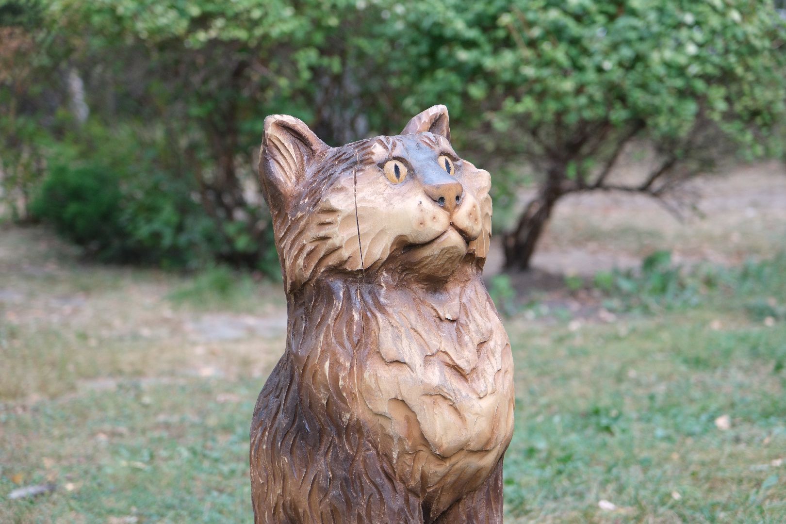 лыткарино выездная администрация,