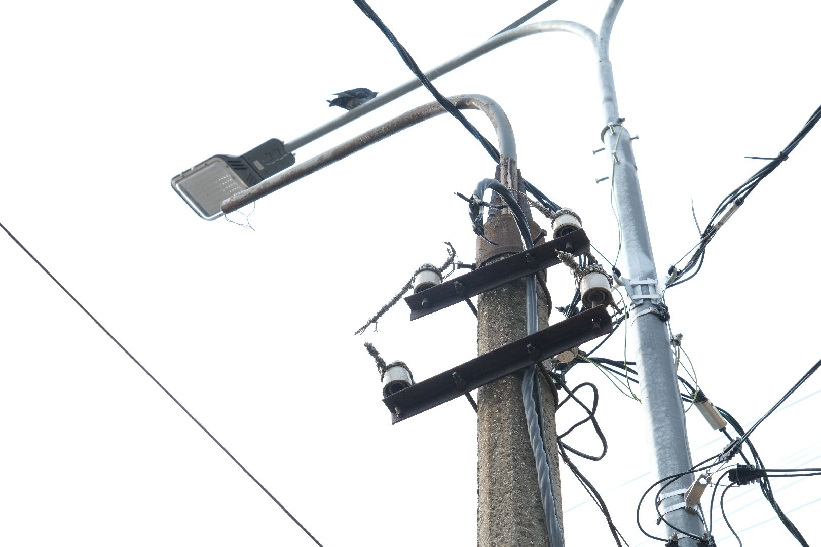 лыткарино выездная администрация,