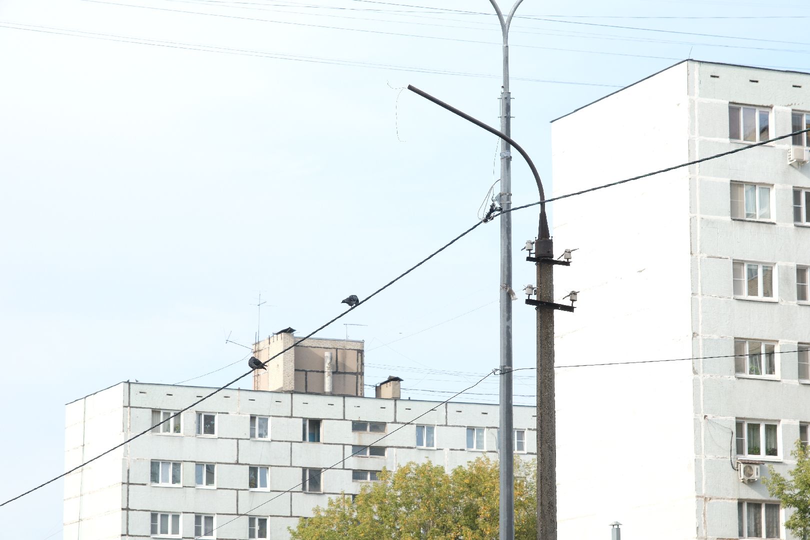 лыткарино выездная администрация,