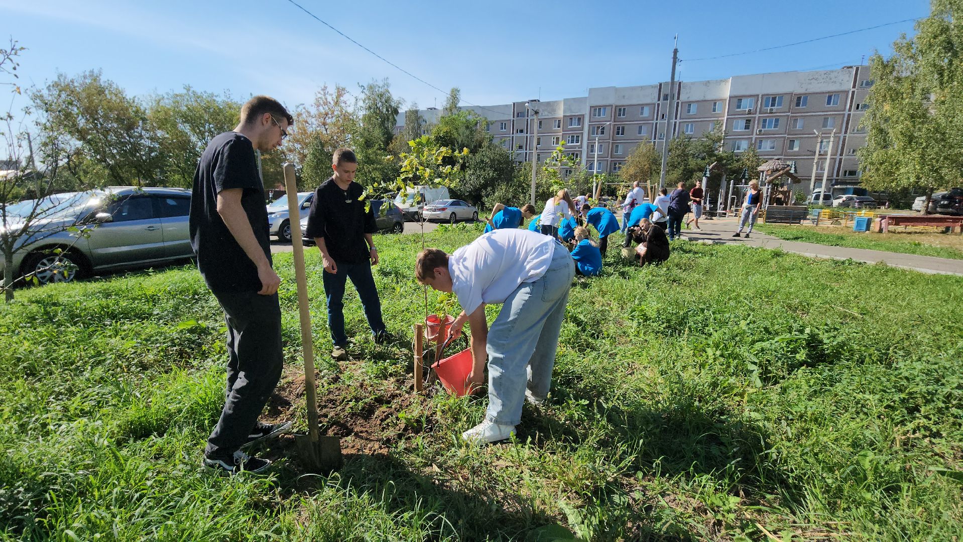 серпухов, волонтеры, день города, поселок большевик, посадка деревьев,