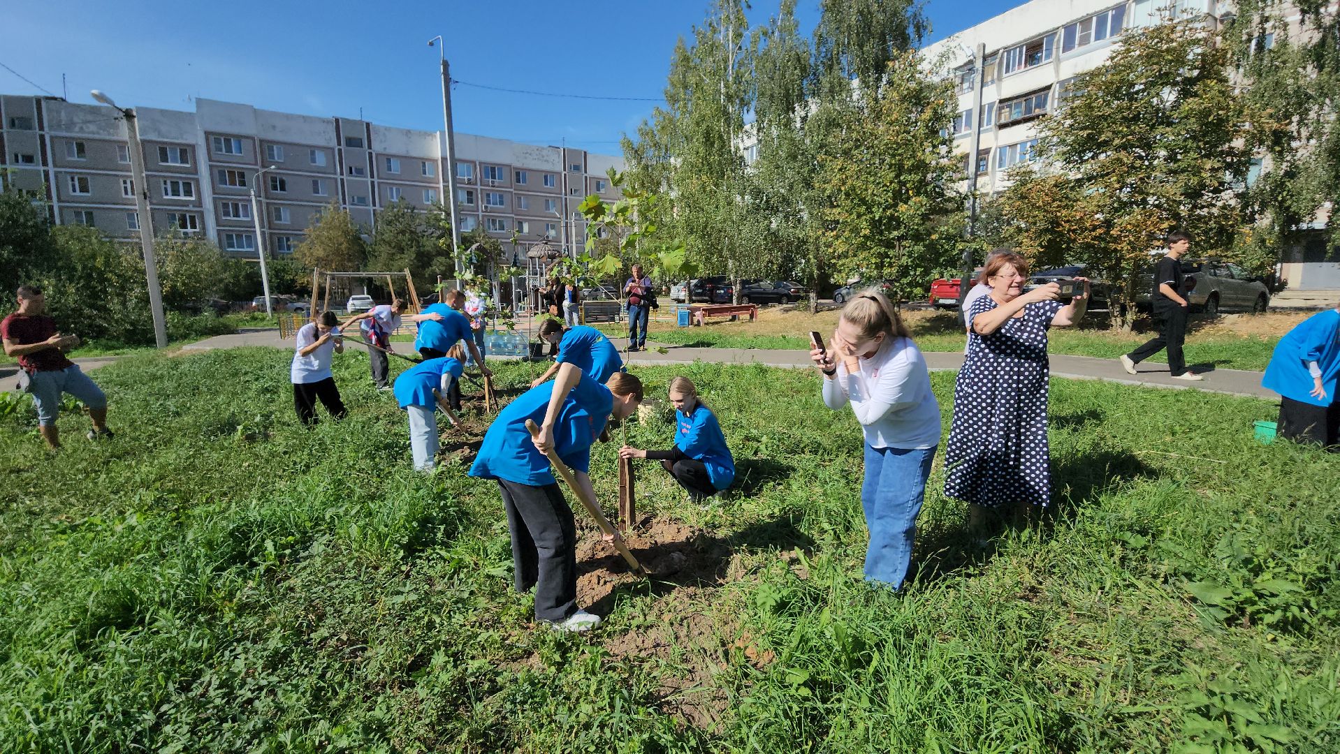 серпухов, волонтеры, день города, поселок большевик, посадка деревьев,