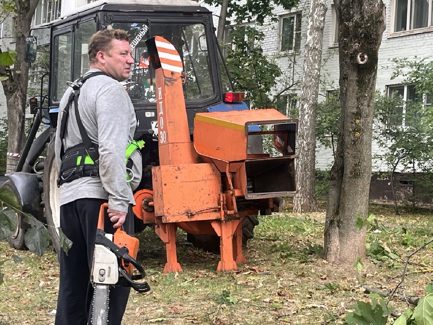 Благоустройство, Спиливание веток, улучшение условий,