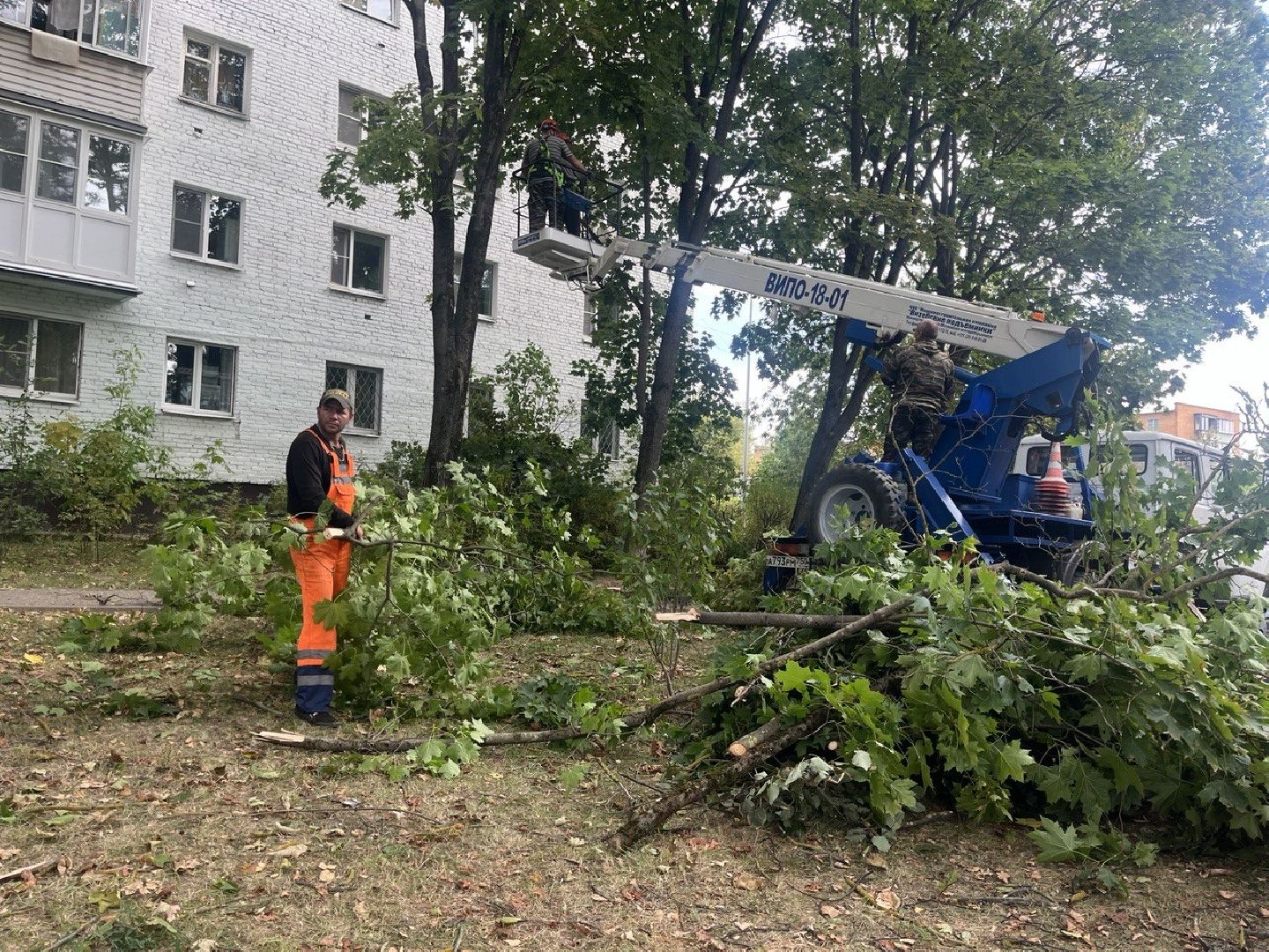 Благоустройство, Спиливание веток, улучшение условий,