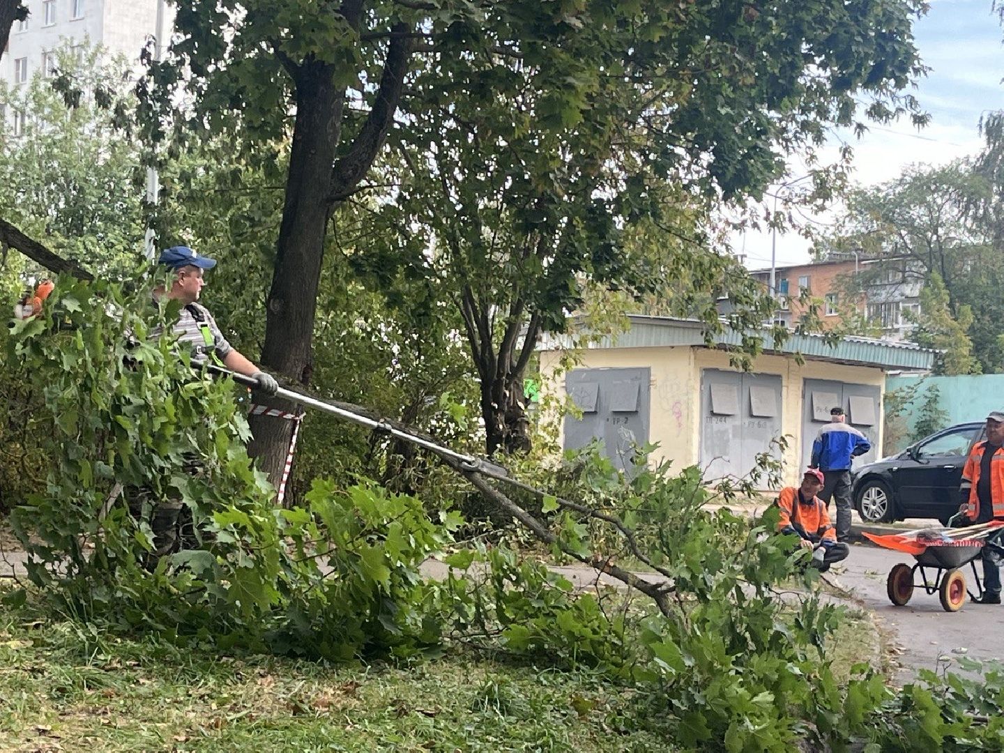 Благоустройство, Спиливание веток, улучшение условий,