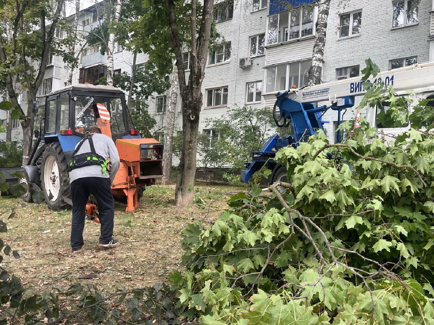 Благоустройство, Спиливание веток, улучшение условий,