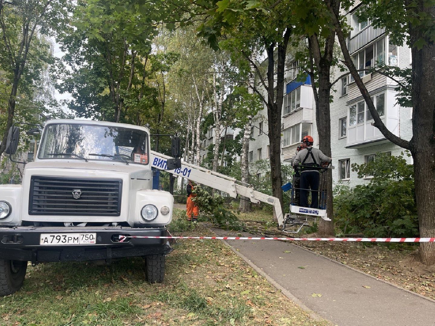 Благоустройство, Спиливание веток, улучшение условий,