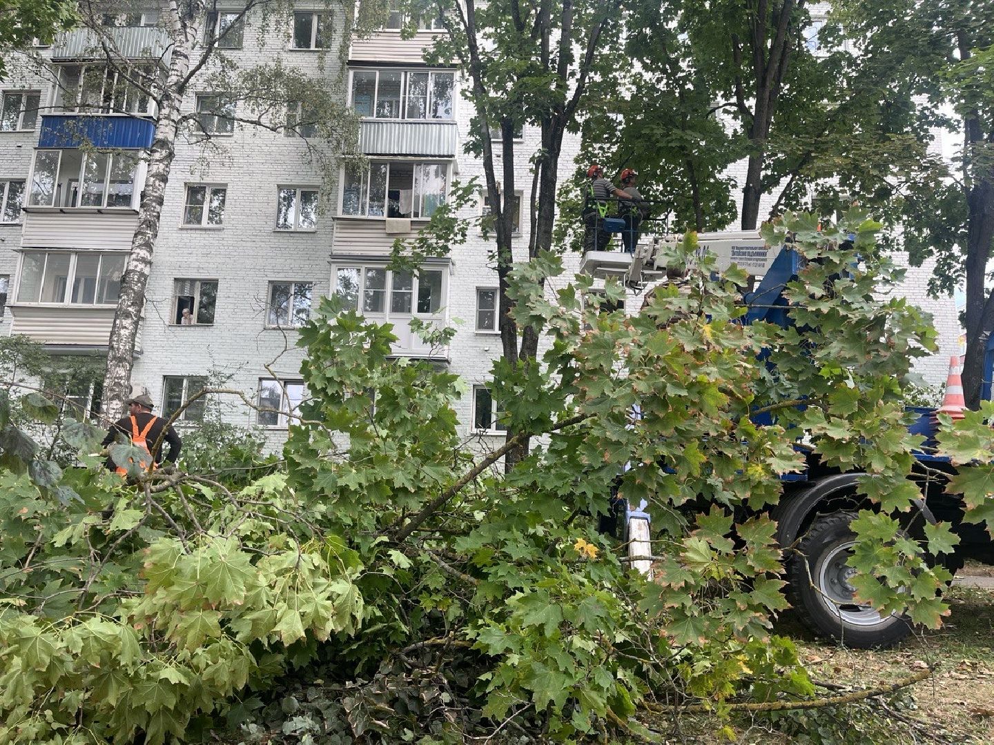 Благоустройство, Спиливание веток, улучшение условий,