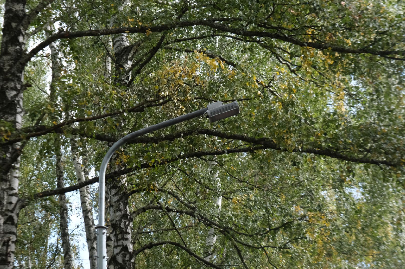 пущино, серпухов, освещение,