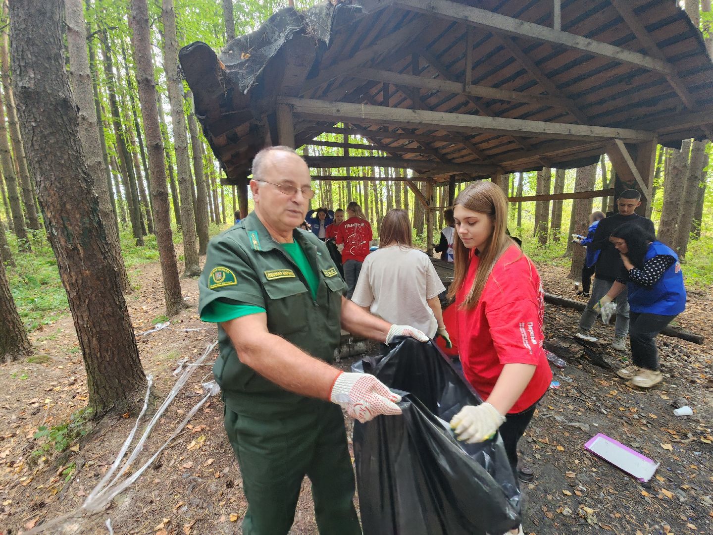 волоколамск, день в лесу, мособллес, экология,