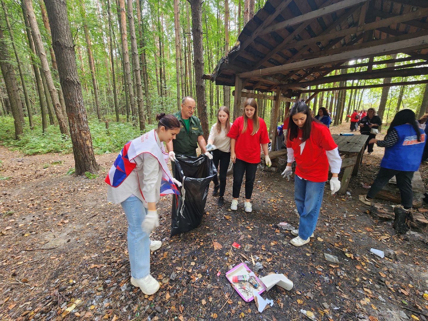 волоколамск, день в лесу, мособллес, экология,