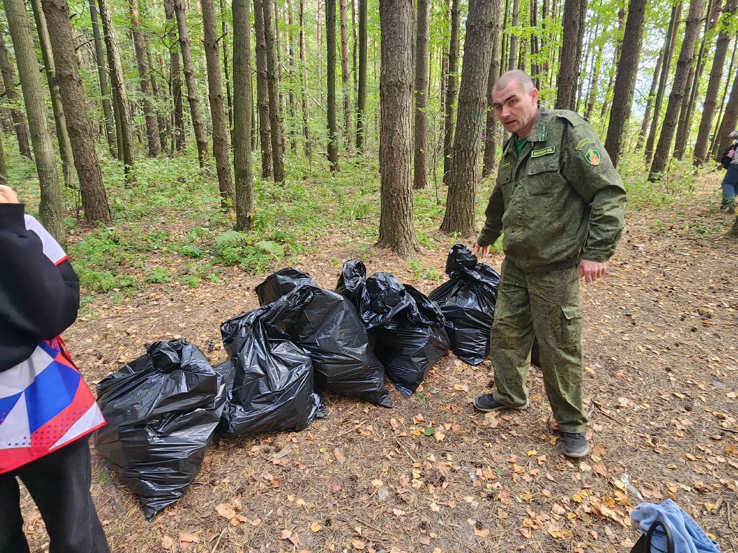 волоколамск, день в лесу, мособллес, экология,
