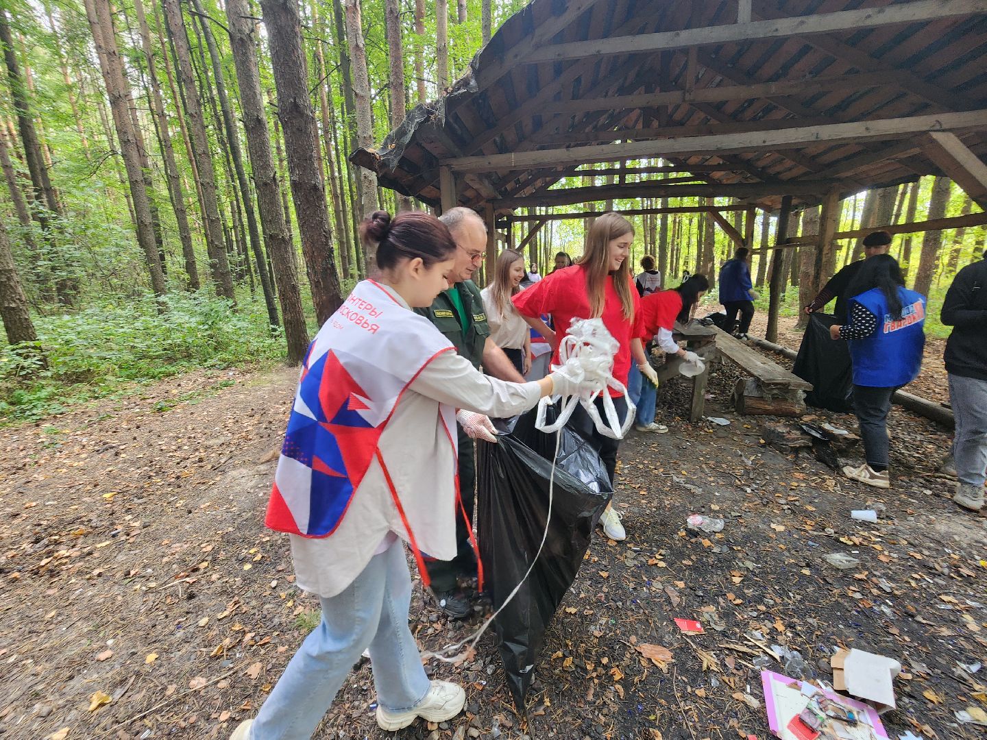 волоколамск, день в лесу, мособллес, экология,