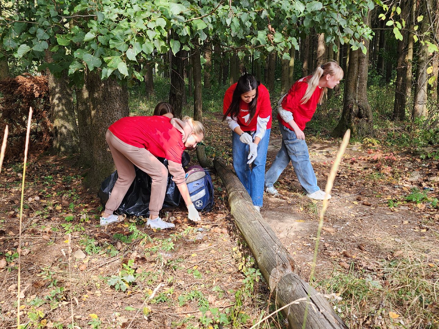 волоколамск, день в лесу, мособллес, экология,