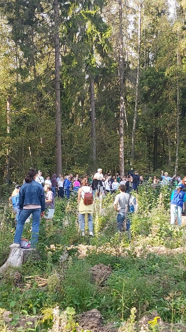 экоактивисты, лесничество, акция, день в лесу,