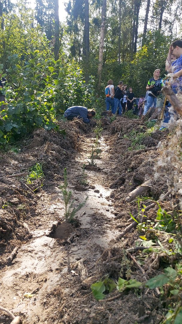 экоактивисты, лесничество, акция, день в лесу,