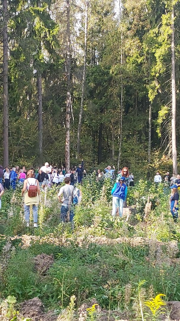 экоактивисты, лесничество, акция, день в лесу,