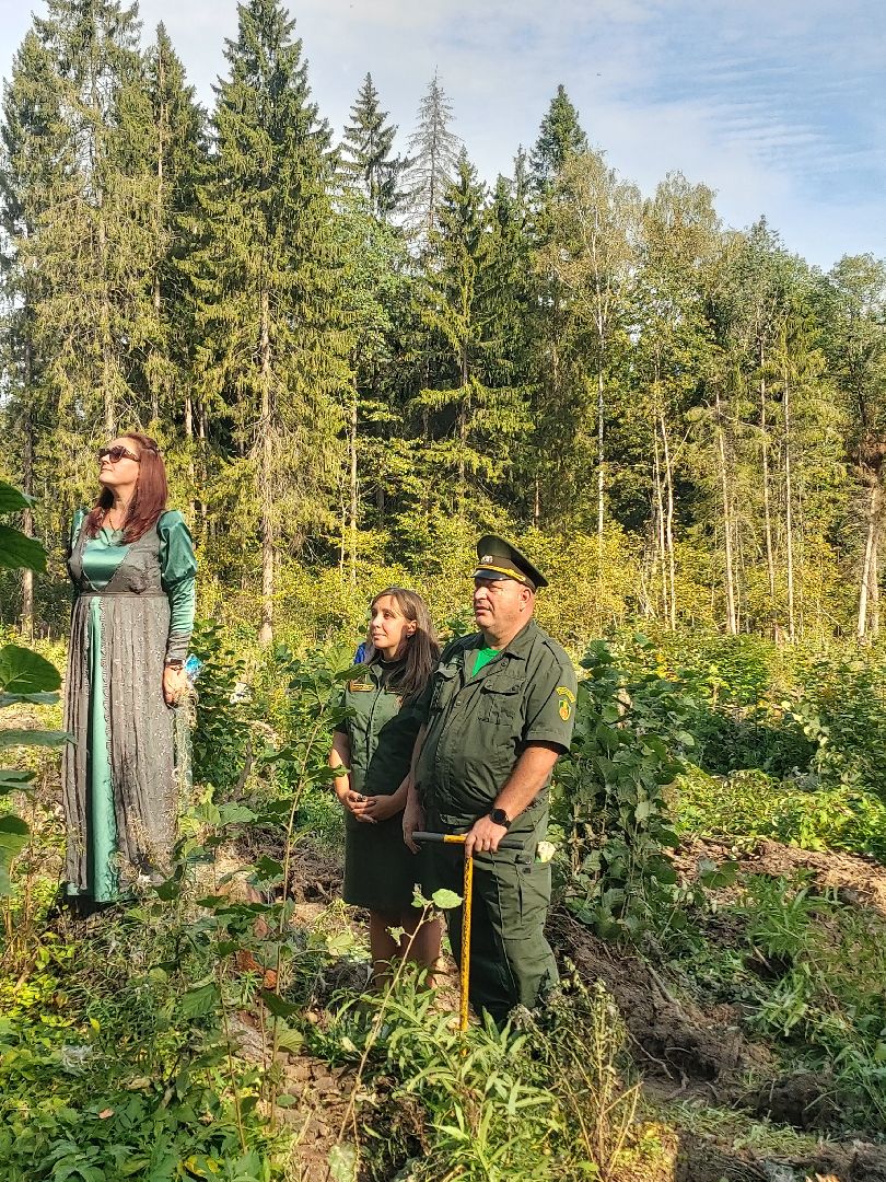 экоактивисты, лесничество, акция, день в лесу,