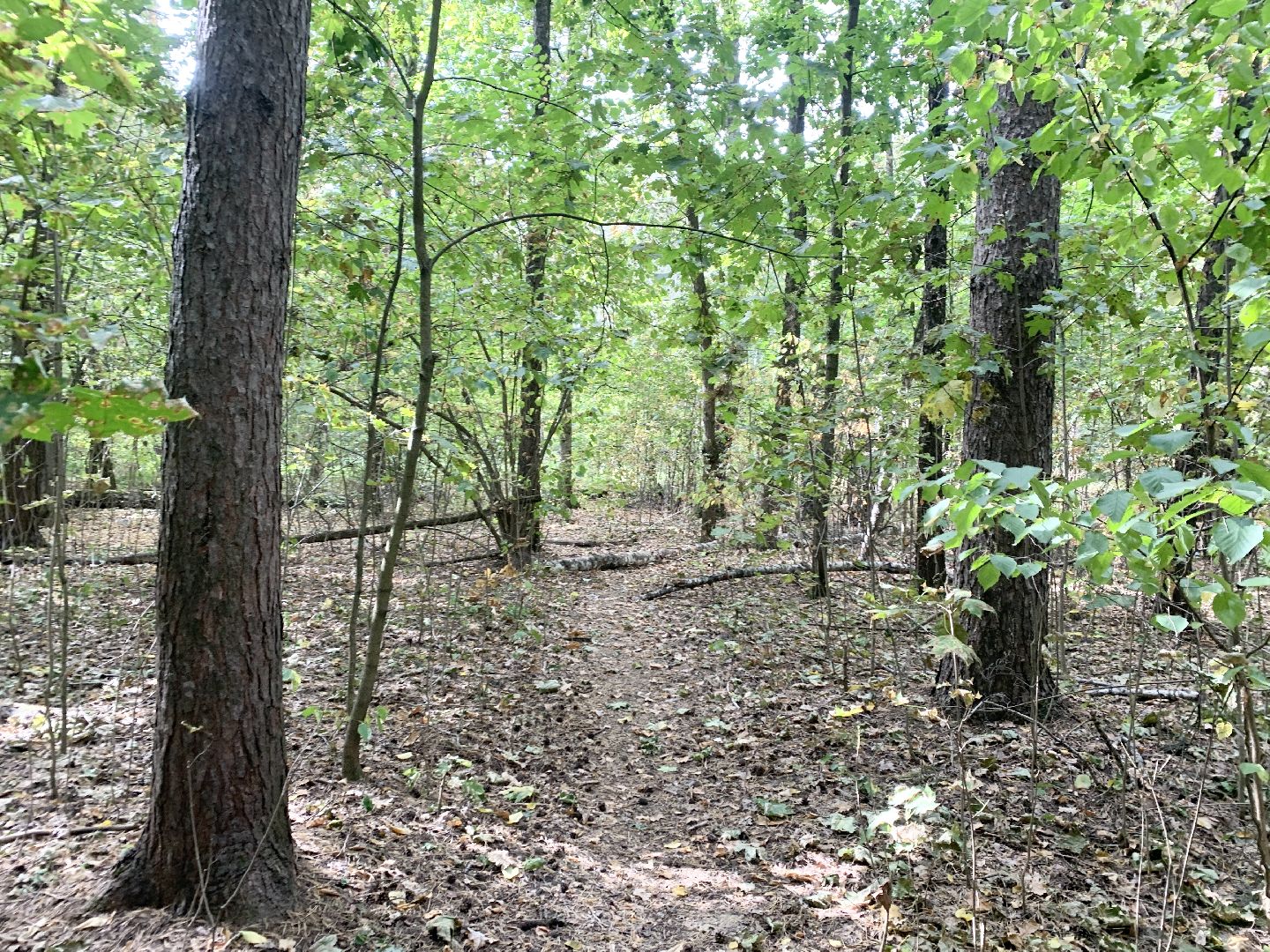 Балашиха, Подмосковье, ЖКХ, социальная газификация, голубое топливо,
