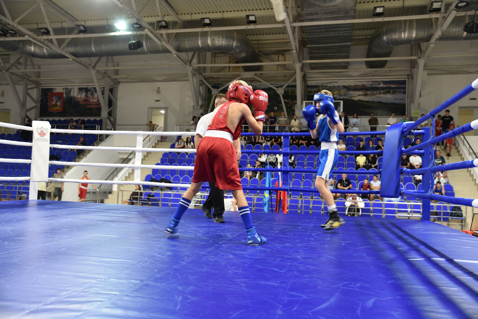 лотошино, ксц лотошино, бокс, спорт, турнир по боксу,