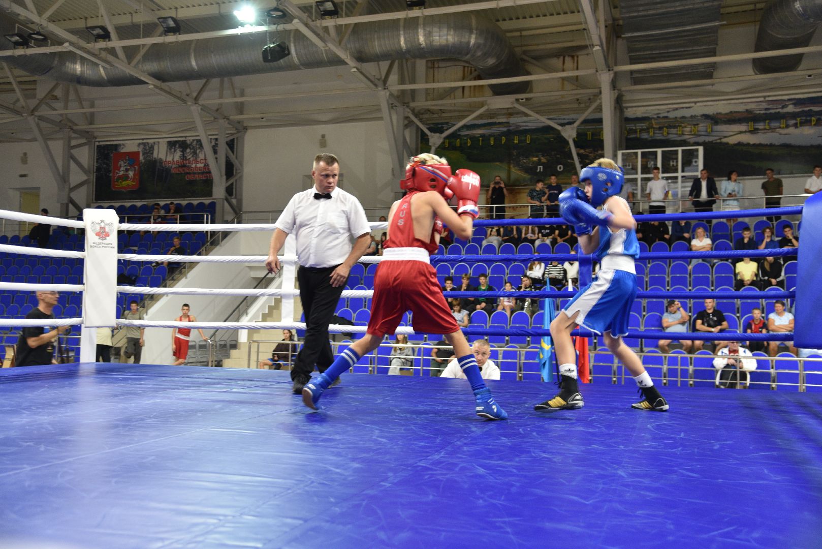 лотошино, ксц лотошино, бокс, спорт, турнир по боксу,
