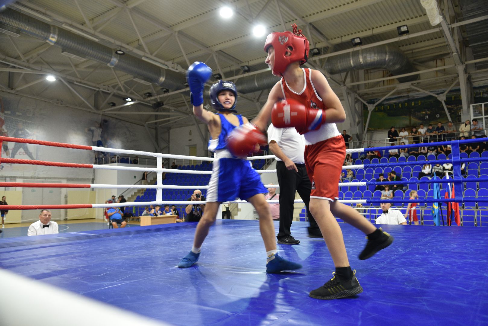 лотошино, ксц лотошино, бокс, спорт, турнир по боксу,