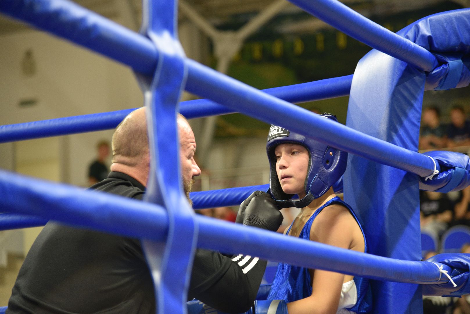 лотошино, ксц лотошино, бокс, спорт, турнир по боксу,