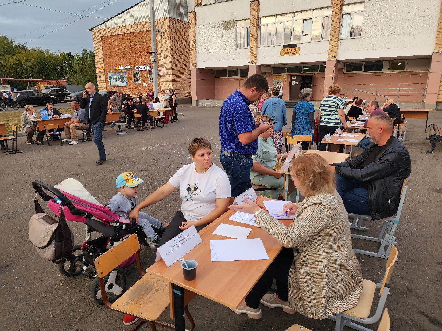 Чехов, поселок Васькино, выездная администрация, встреча с жителями, обращения жителей, Елена Валяева, многодетная мама, жильё, земельные участки, освещение, пешеходный переход, электроснабжение, контейнерная площадка,