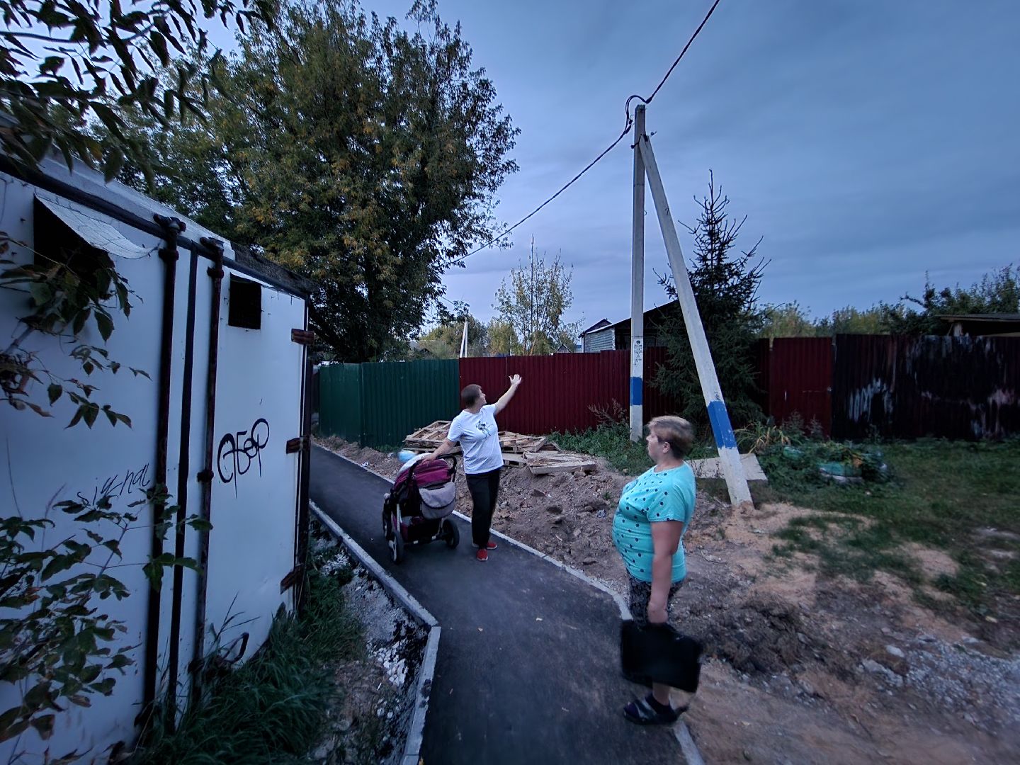 Чехов, поселок Васькино, выездная администрация, встреча с жителями, обращения жителей, Елена Валяева, многодетная мама, жильё, земельные участки, освещение, пешеходный переход, электроснабжение, контейнерная площадка,