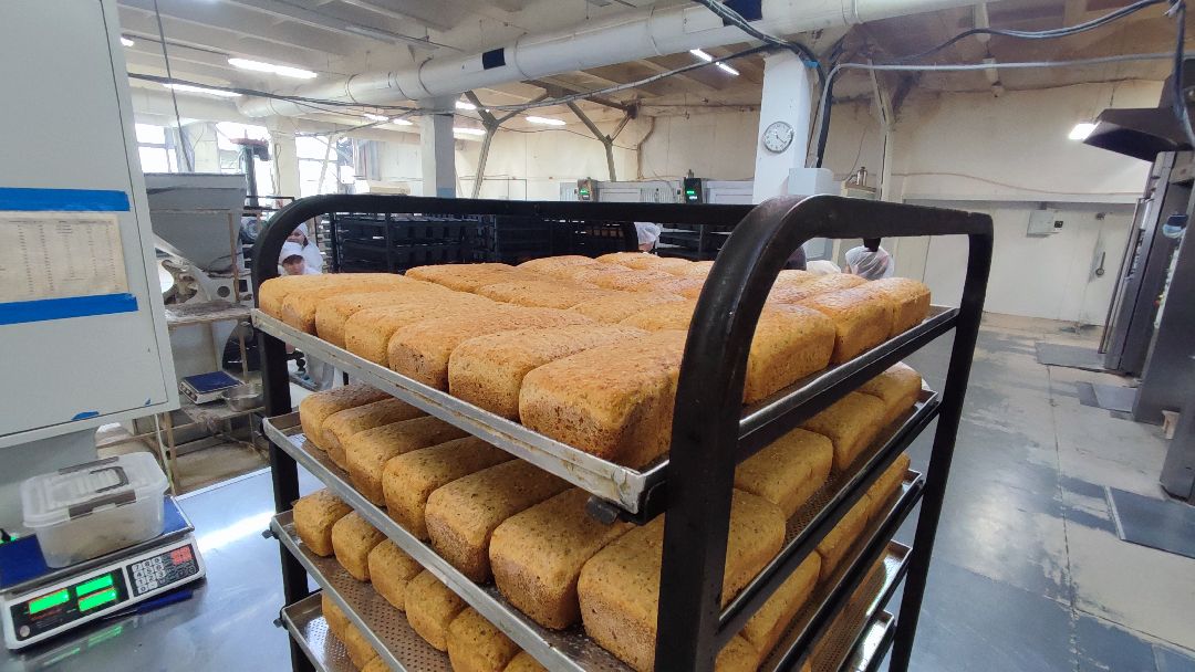 Кашира, общество