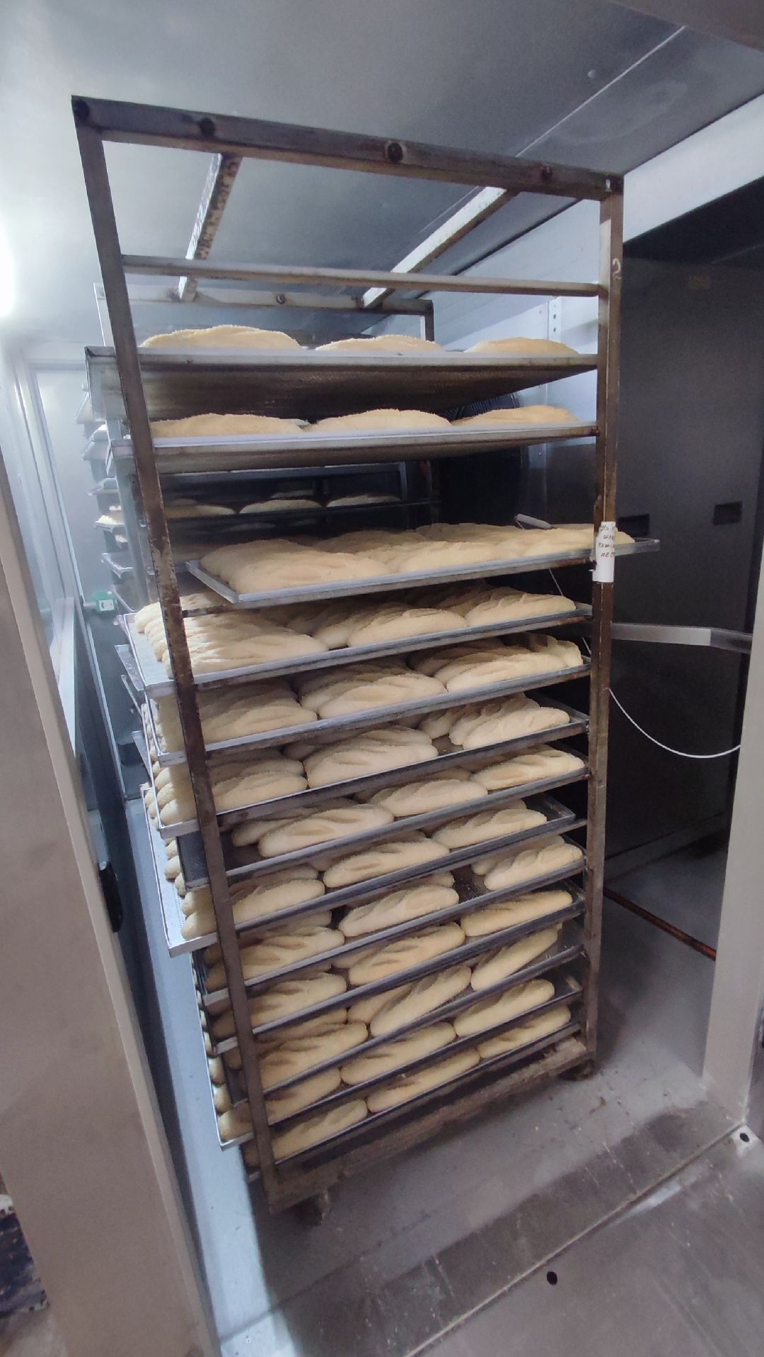 Кашира, общество