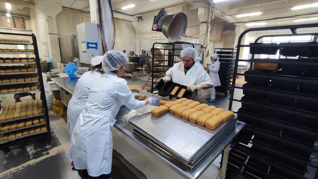 Кашира, общество